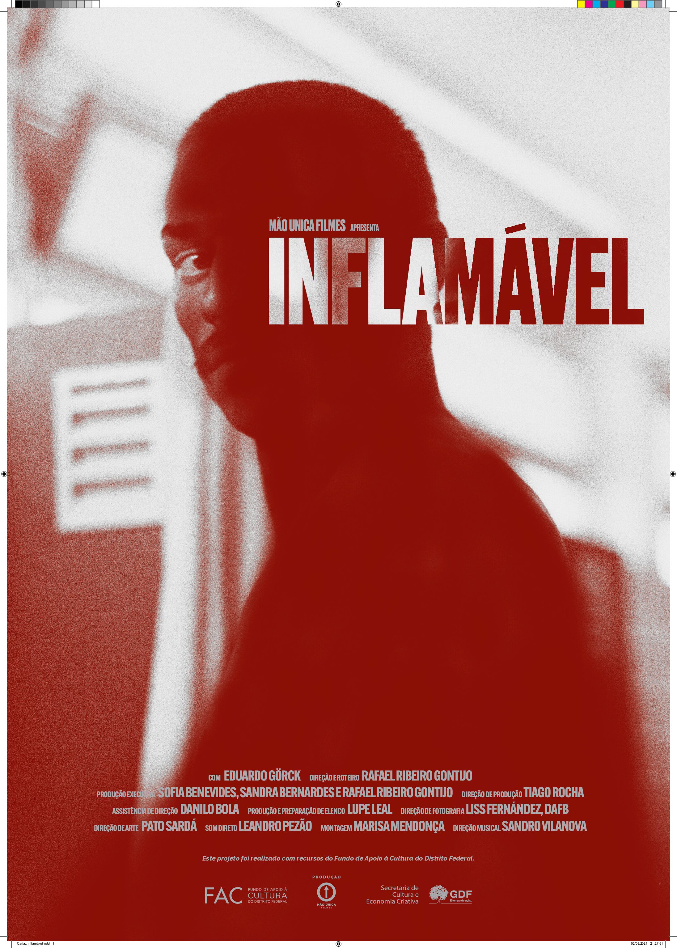 INFLAMAVEL_CARTAZ_1