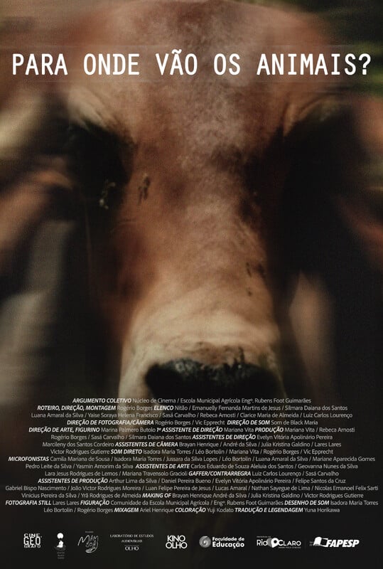 Poster 963b362cb1-poster