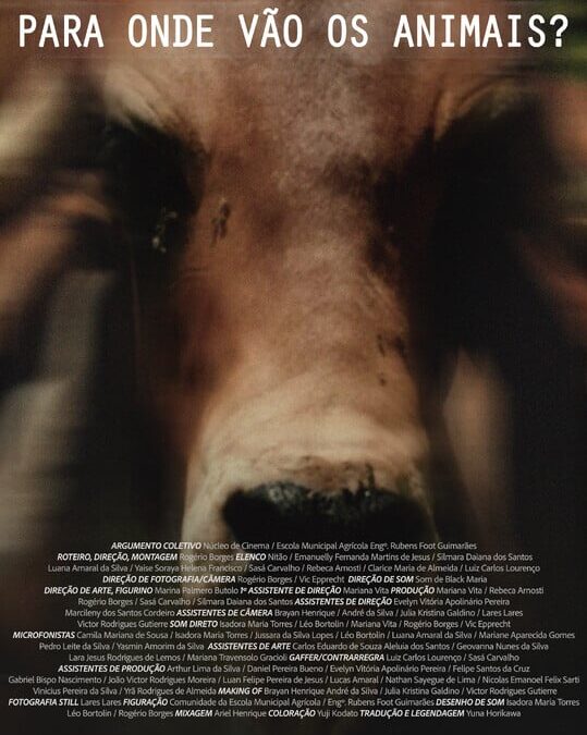 Para Onde Vão os Animais