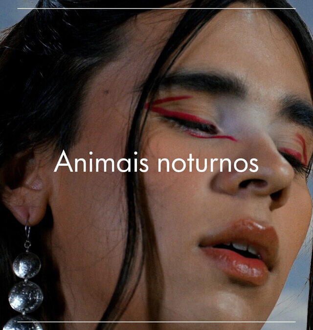 Animais Noturnos